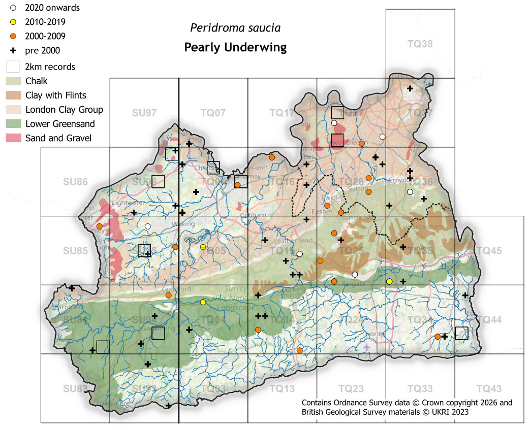 Moths